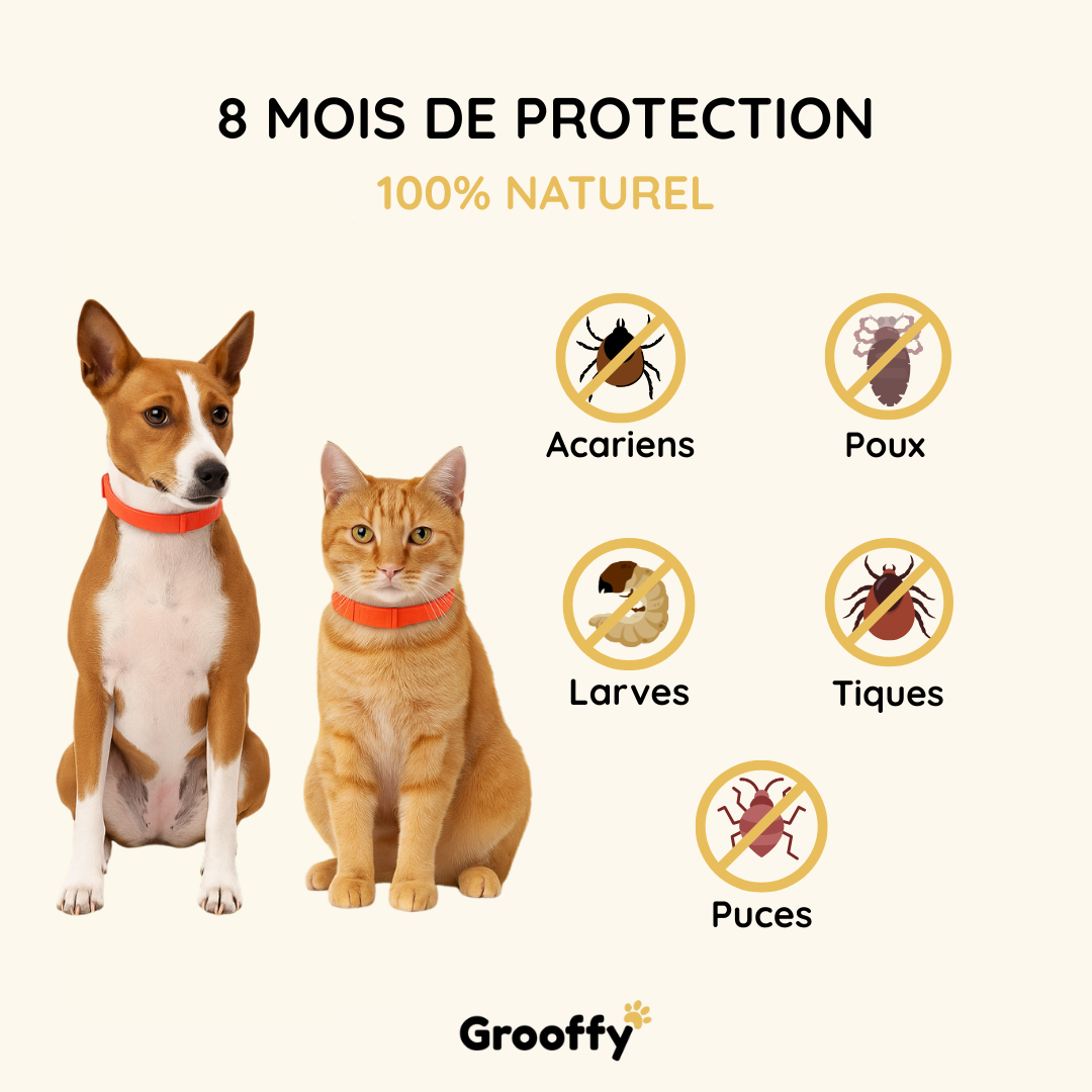 Grooffy-Protect™ 8 mois – Collier antiparasitaire