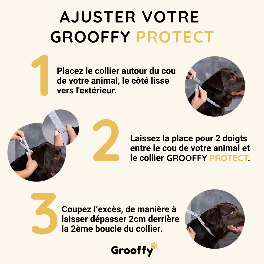 Grooffy-Protect™ 8 mois – Collier antiparasitaire