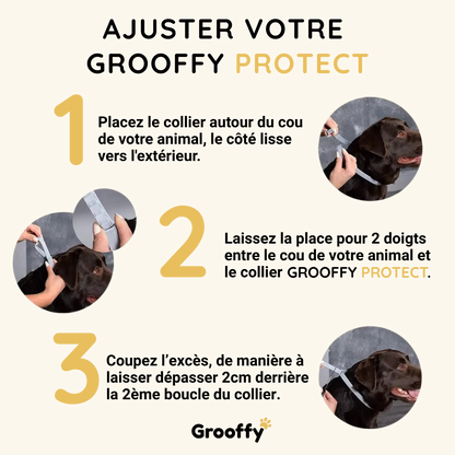 Grooffy-Protect™ 8 mois – Collier antiparasitaire